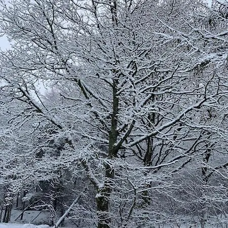 Solhoj - A Nice Quite Place Just Outside