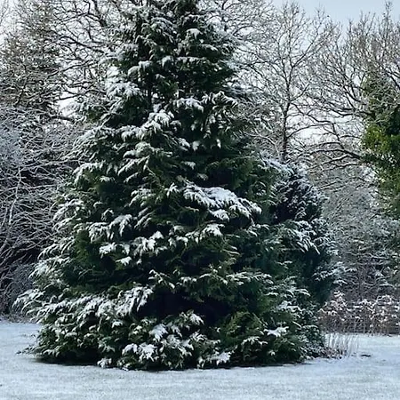 Solhoj - A Nice Quite Place Just Outside בית נופש בילונד